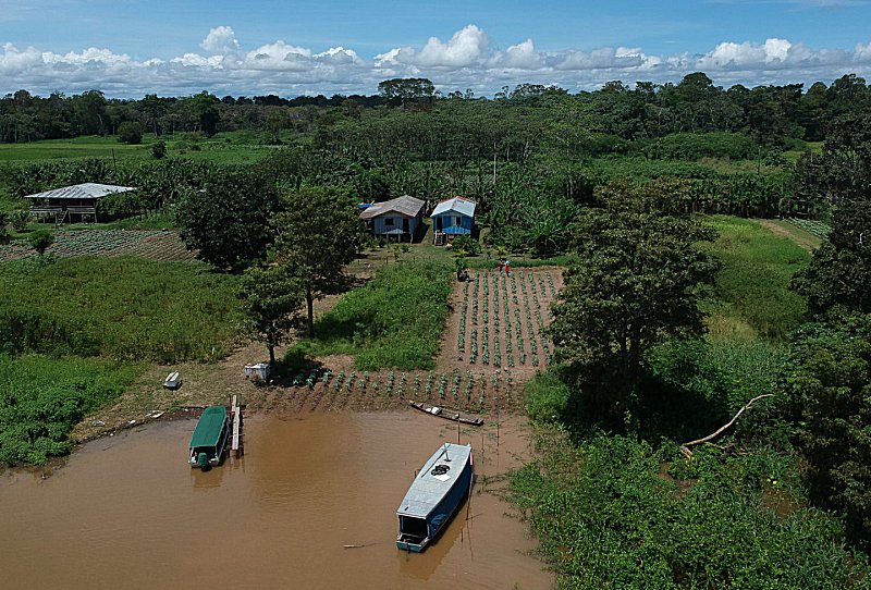 Indian Black Earth And Biodiversity Of The Amazon – New Study