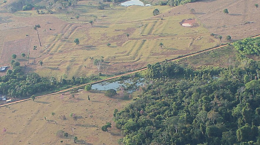 Millennial Pre-Colonial Cultural Influence Is Evident In The Amazon Forest