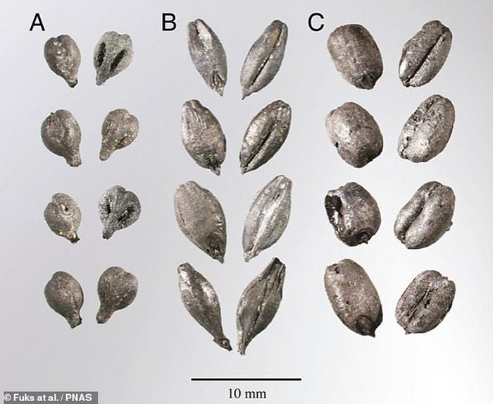 When And Why Negev Highlands' Agricultural Settlement Was Abandoned? - Researchers Have Answers 