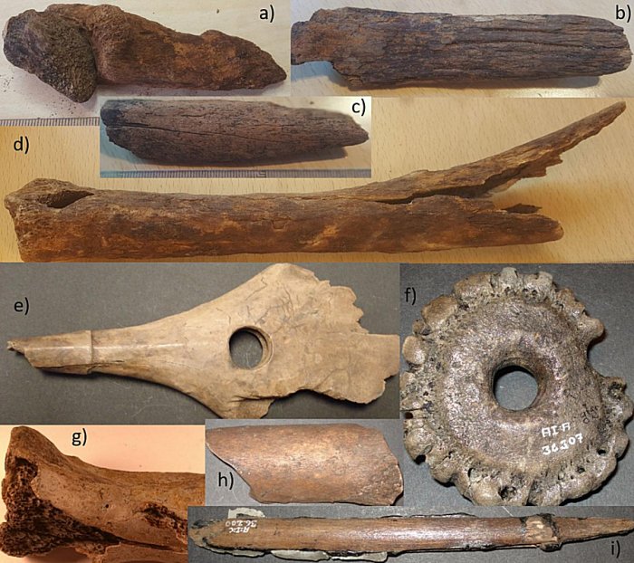 Accelerated Bone Deterioration At Mesolithic Peat Bog In Ageröd, Sweden