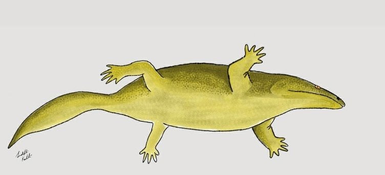 Ancient Crocodile Had The “Wrong” Number Of Fingers – Discovery Raises Baffling Evolution Questions