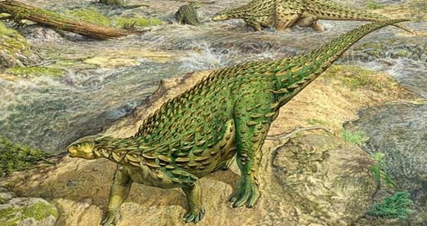 The first complete dinosaur skeleton ever identified has finally been studied in detail and found its place in the dinosaur family tree, completing a project that began more than a century and a half ago. Credit: John Sibbick