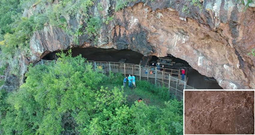 200,000-Year-Old Grass Bed Discovered In South Africa's Border Cave