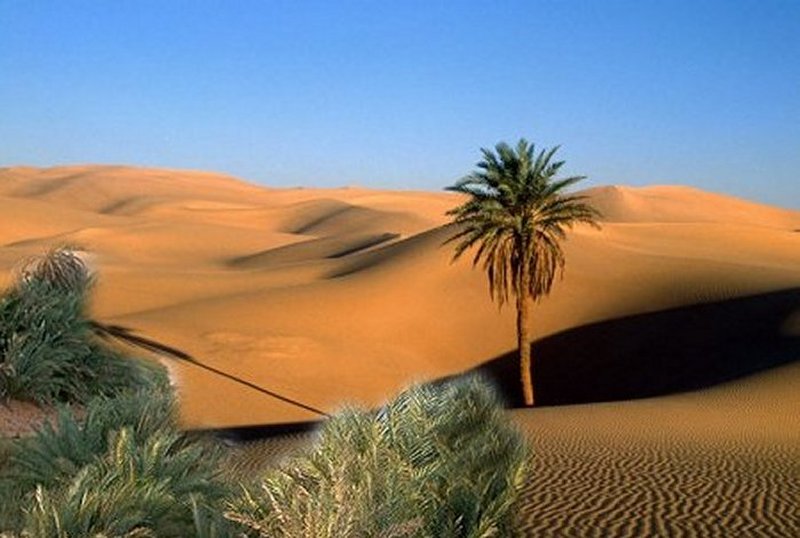 Megadrought That 'Killed' Green Sahara 4,000 Years Ago Crippled Southeast Asia's Human Settlements