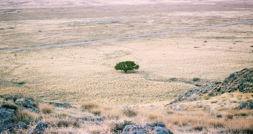 Mystery And Paradox Of The Dust Bowl - Strange North American Heat Wave Of The 1930s