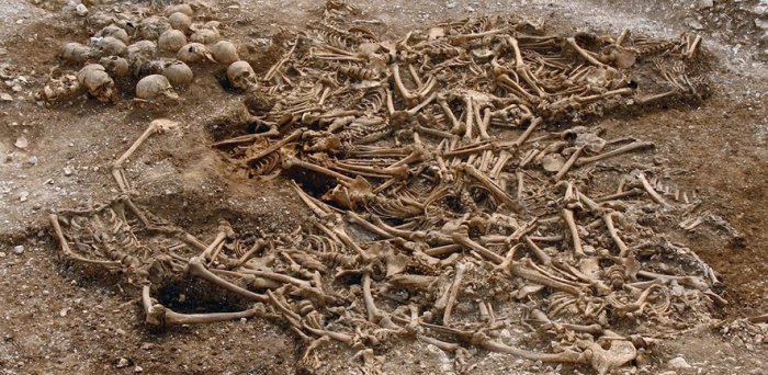 A mass grave of around 50 headless Vikings from a site in Dorset, UK. Some of these remains were used for DNA analysis