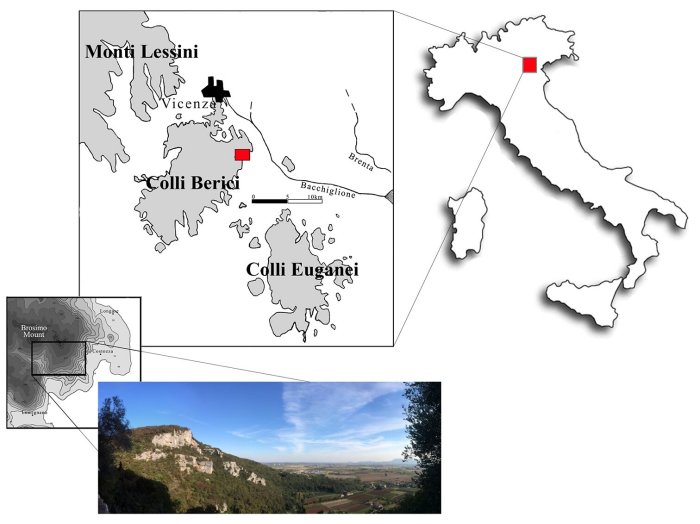 48,000-Year-Old Tooth That Belonged To Neanderthal Child Found In Northern Italy