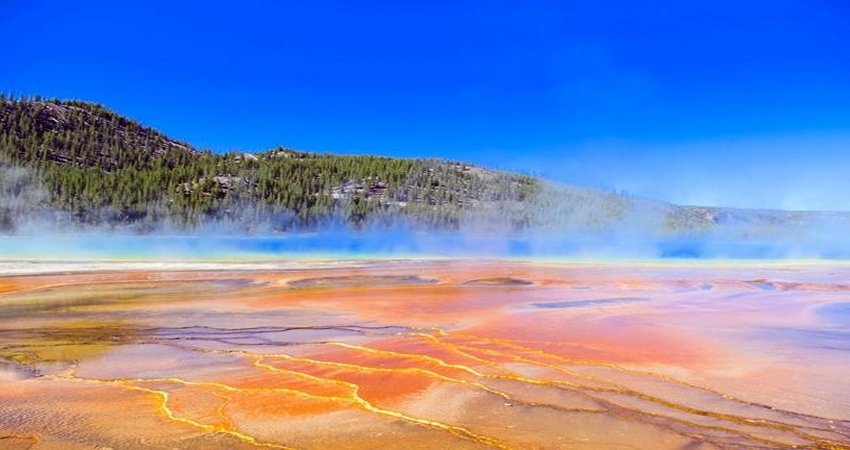 Why Have Nearly 100 Earthquakes Rattled Yellowstone In 24 Hours?