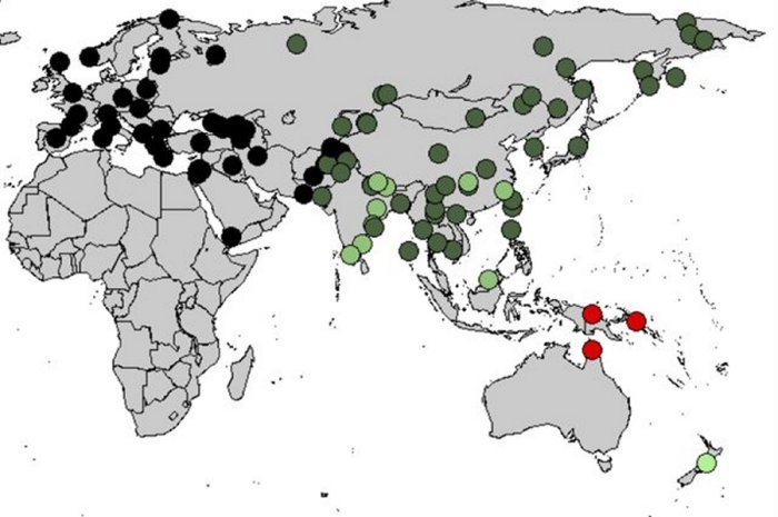 Denisovan DNA Found In The Genome Of Oldest Human Fossil Discovered In Mongolia