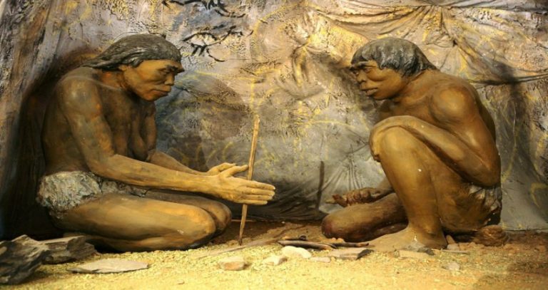 Why Did Early Humans Used Stone Tools