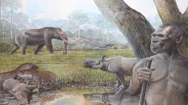 Loss Of Rainforests, Grasslands In Southeast Asia Caused Extinction Of Megafauna And Ancient Humans