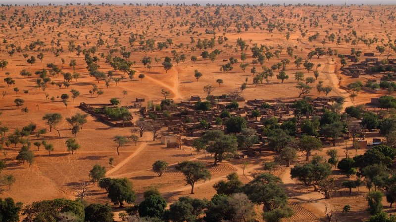 Hundreds Of Millions Of Trees Are Growing In Sahara – Surprising Satellite Images And AI Reveal