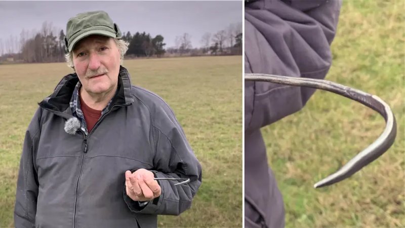 Silver Needle Dismissed As Trash Was Part Of A Stunning Viking Treasure Found By Farmer On Gotland