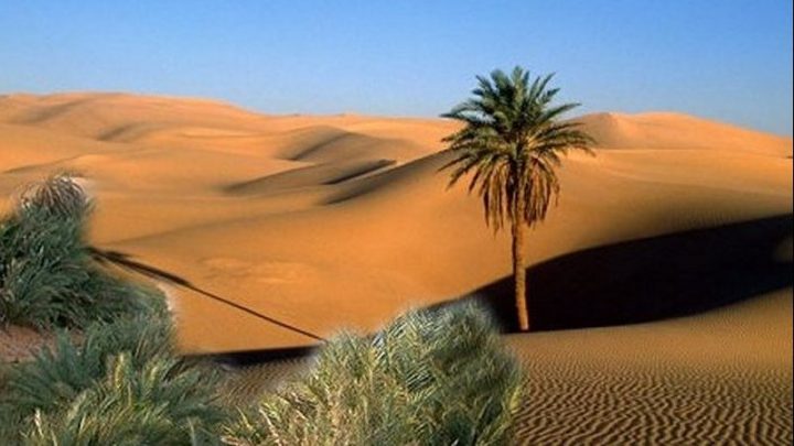 Much Of Sahara Desert Was Green Thousands Of Years Ago - Ancient Rivers ...