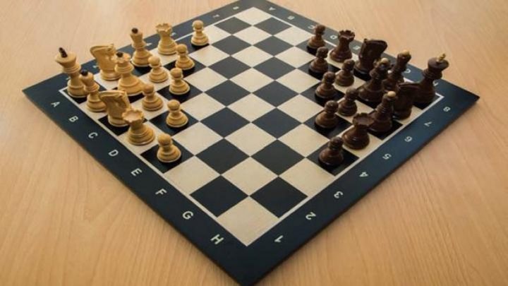 chess piece moves diagnolly