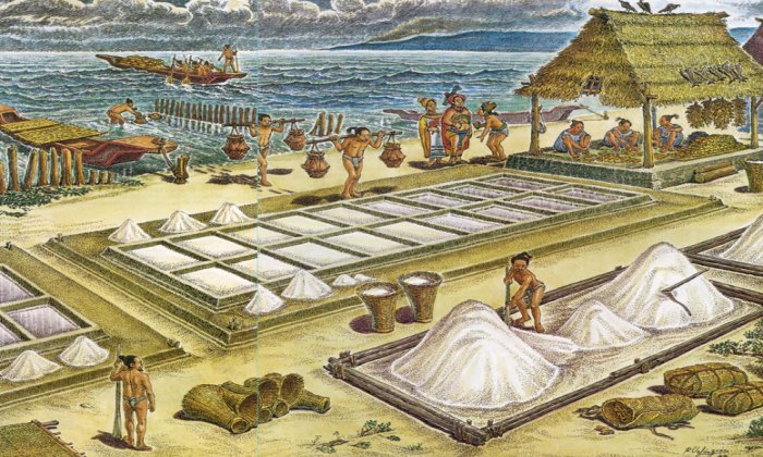 Ancient Maya Saltworks: Salt Was A Commodity Or Money In Classic Maya Economy