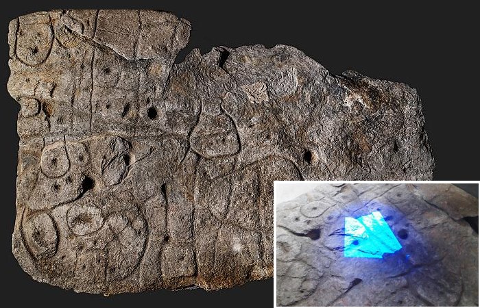 Large Bronze Age Stone May Be Europe's Oldest 3D Map