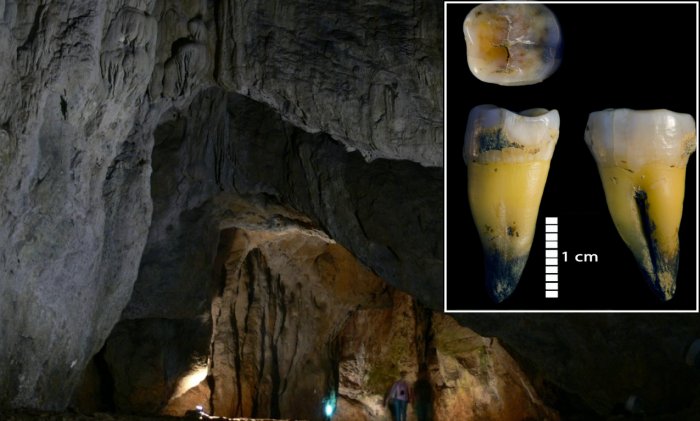 Bacho Kiro Cave: Genomes Of The Earliest Europeans – Sequenced