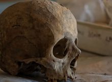 DNA Of 10,000-Year-Old Skeletal Remains And Kinship Of Earliest World Settlers