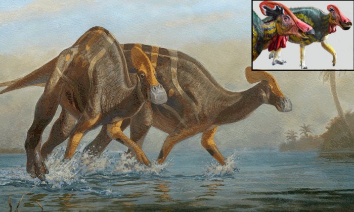 New Gigantic Dinosaur Species Emitting Loud Sounds Identified By Mexican Paleontologists