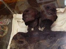 Kap Dwa - Mysterious Two-Headed Mummified Patagonian Giant - Real Or Fake?