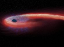 Star Spaghettified By Black Hole Observed By Astronomers For The First Time