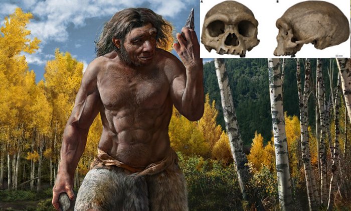 Dragon Man: New Species Of Human May Replace Neanderthals As Our Closest Relative