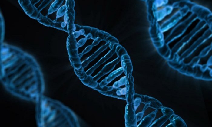 Human Cells Can Write RNA Sequences Into DNA - New Discovery