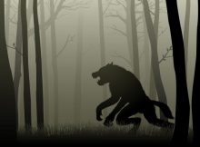 Werewolf - Ancient Worldwide Belief In Terrible Curse