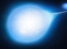 Artist's impression of the HD265435 system at around 30 million years from now, with the smaller white dwarf distorting the hot subdwarf into a distinct 'teardrop' shape. Credit: University of Warwick/Mark Garlick