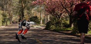 Bipedal Robot Cassie Makes History By Learning To Run, Completing A 5K