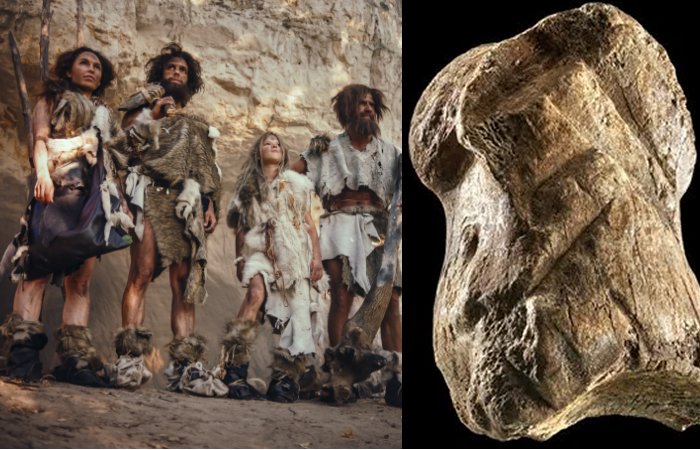 51,000-Year-Old Bone Carving Shows Neanderthals Were Artistic Long Before Humans Arrived