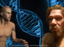 Just 7% Of Our DNA Is Unique To Modern Humans - We Are Not Much Different From The Neanderthals