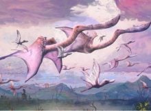 Newly-Hatched Pterosaurs May Have Been Able To Fly