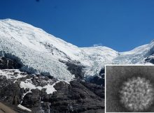 15,000-Year-Old Viruses Discovered In Tibetan Glacier Ice - Some Are Still Alive