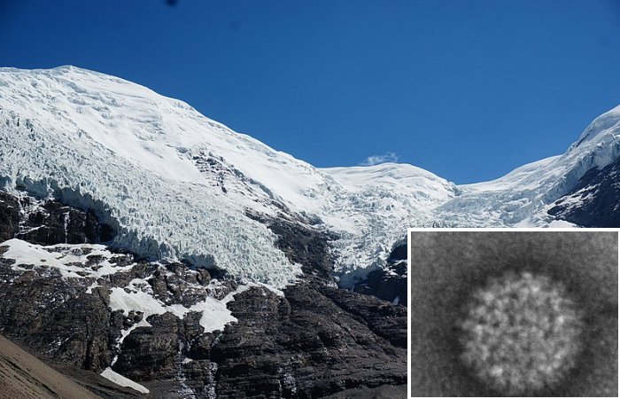 15,000-Year-Old Viruses Discovered In Tibetan Glacier Ice - Some Are Still Alive