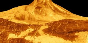 Maat Mons, a large volcano on Venus, is shown in this 1991 simulated-color radar image from NASA’s Magellan spacecraft mission. NASA/JPL