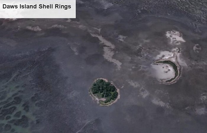 Never-Before-Seen Archaic Shell Rings Left By Indigenous People Revealed By Remote Sensing And Machine Learning