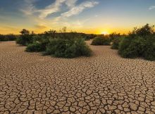 Drought Is Rising In Europe - New Study