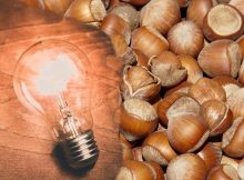 Turning Hazelnut Shells Into Potential Renewable Energy Source