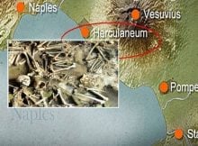 Roman Herculaneum: Men And Women Had Different Diets – New Study