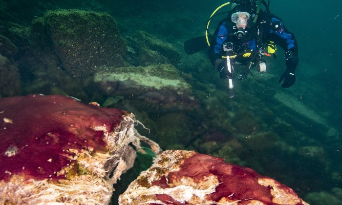 Lake Huron Sinkhole Surprise: Rise Of Oxygen On Early Earth And Changing Of Planetary Rotation Rate