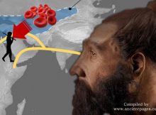 Neanderthal And Denisovan Blood Groups Deciphered And The Results Are Surprising