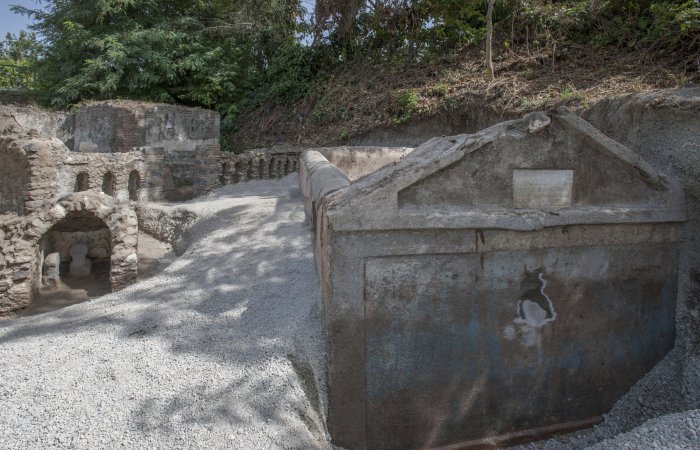 Unusual And Well-Preserved Skeleton Discovered In Ancient Pompeii Sheds ...