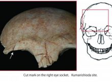 Population Pressure And Prehistoric Violence In The Yayoi Period Of Japan