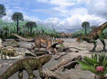 Ancient Teeth Reveal Surprising Diversity Of Cretaceous Reptiles At Argentina Fossil Site