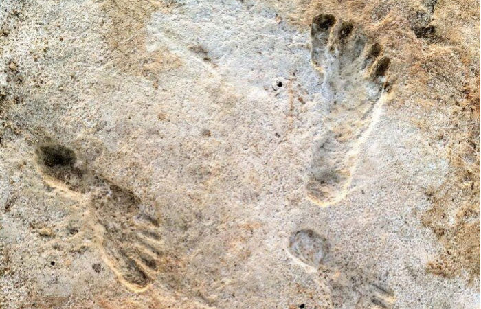 23,000-Year-Old Footprints Are Earliest Evidence Of Human Activity Found In The Americas