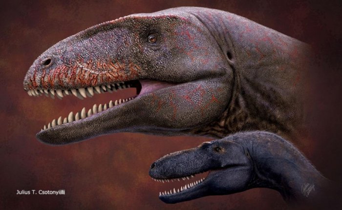 Who Was King Before Tyrannosaurus? Now New Top Dino Fossil - Revealed