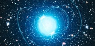 White Dwarfs Become Magnetic As They Get Older