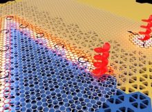 Topologically distinct photonic crystals (orange and blue) with a layer of hexagonal boron nitride on top enable coupling of topological light and lattice vibrations to form chiral half-light half-vibration excitations, which can be directionally guided along 1D channels in robust manner. Credit: Filipp Komissarenko and Sriram Guddala